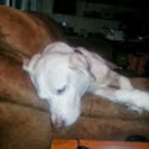 Meet your Posher, Sonya